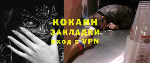 прущие грибы Богданович
