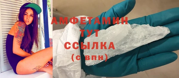 гидра Бронницы