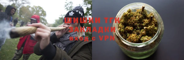 гидра Бронницы