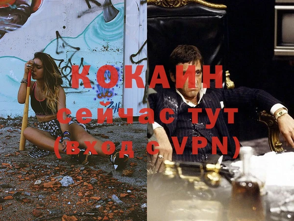 гидра Бронницы