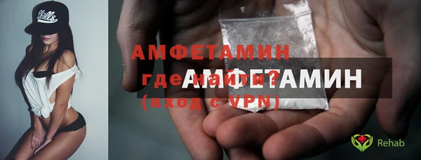 прущие грибы Богданович