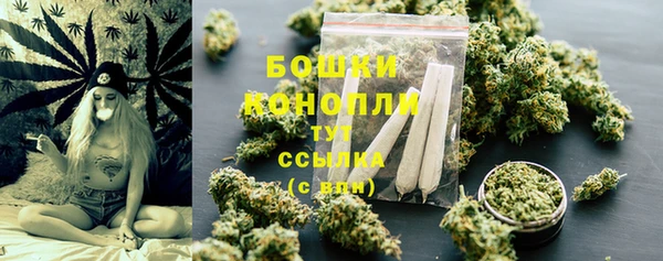 стафф Бородино
