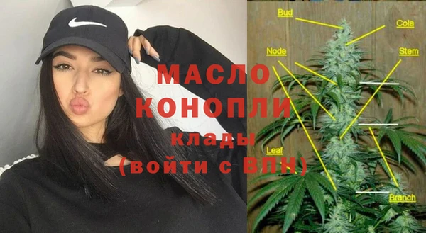 гидра Бронницы