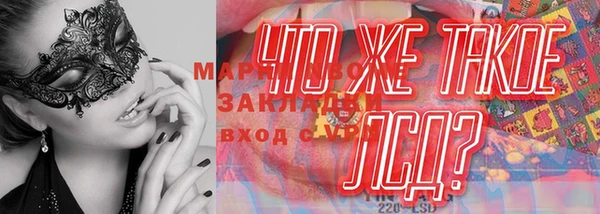 стафф Бородино