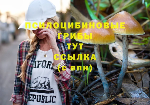 стафф Бородино