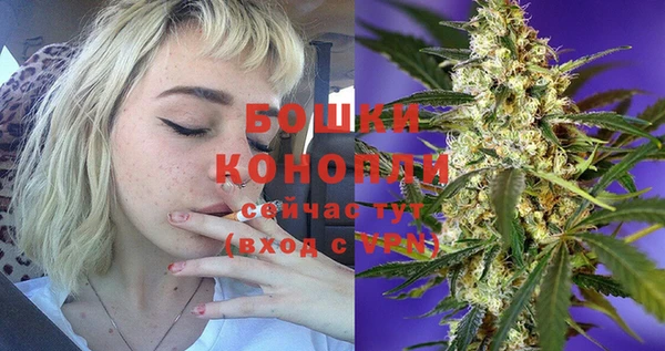 дживик Аша