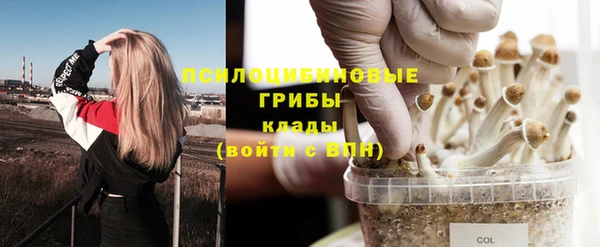 стафф Бородино